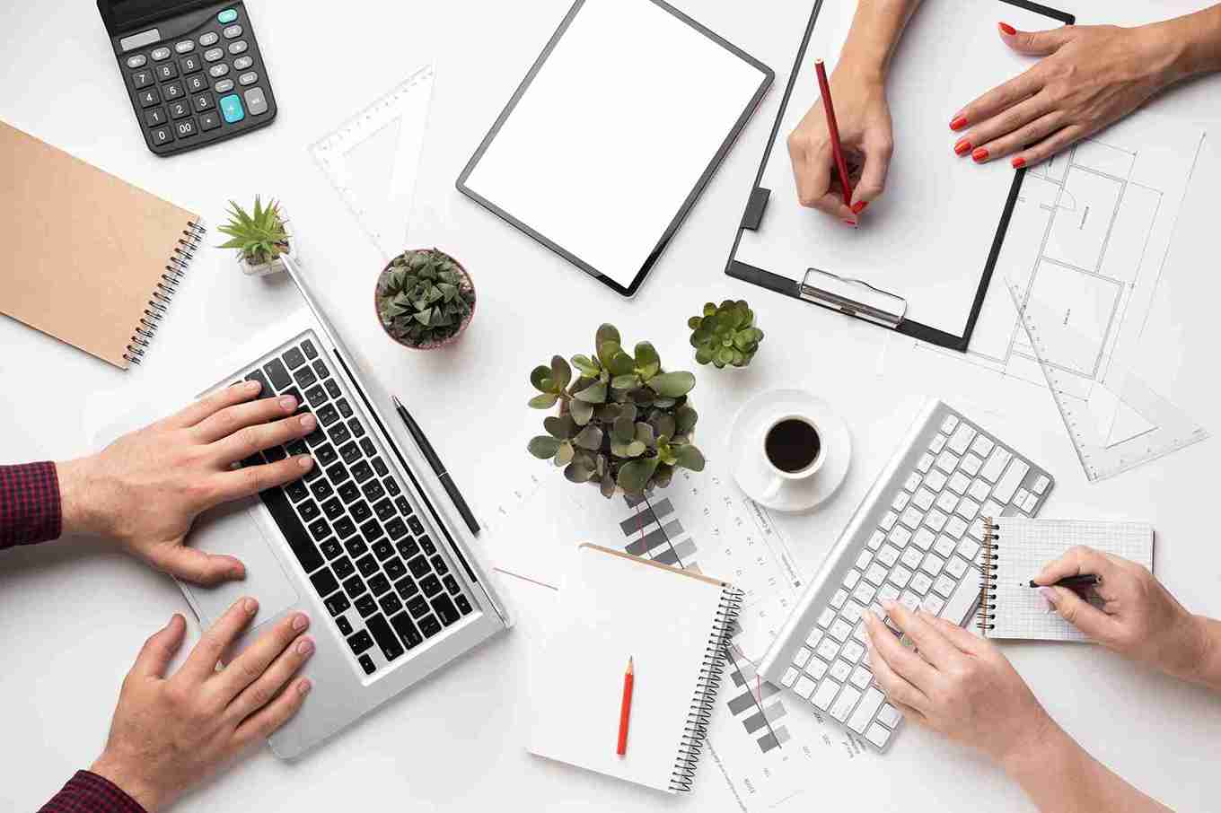 content writer